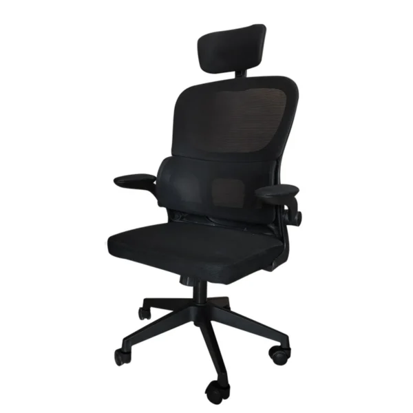 Ergonomic Office Chair Black - HC004