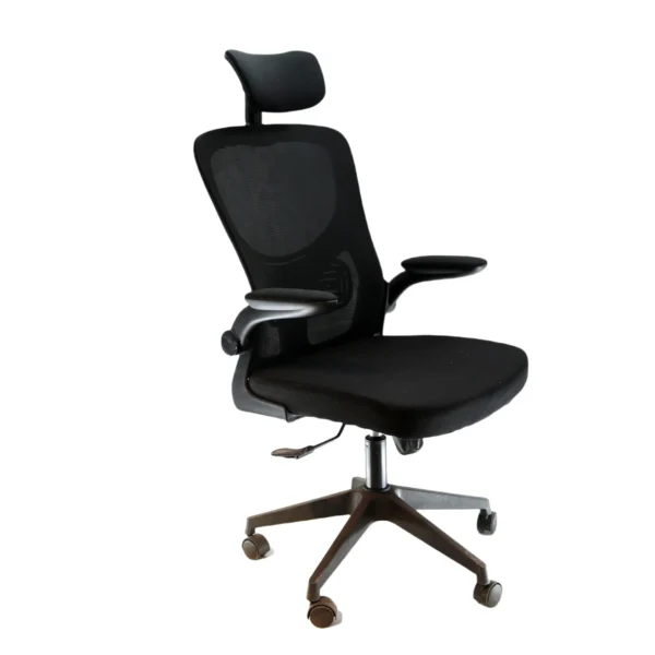 Ergonomic Office Chair Black - HC001